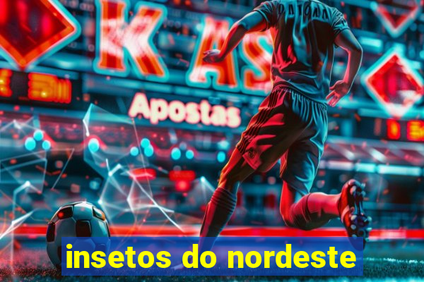 insetos do nordeste